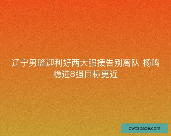 辽宁男篮迎利好两大强援告别离队 杨鸣稳进8强目标更近